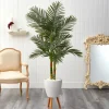 Trees & Topiaries-Kirkland's Home Golden Cane Palm With White Planter, 5.5 Ft.