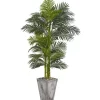 Trees & Topiaries-Kirkland's Home Golden Crane Palm Tree And Cement Planter, 84 In.