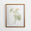 Framed Art-Kirkland's Home Golden Leaves Herbs Dill Framed Art Print White/Green