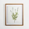 Framed Art-Kirkland's Home Golden Leaves Herbs Lavender Framed Art Print White/Green