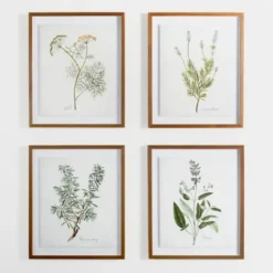 Framed Art-Kirkland's Home Golden Leaves Herbs Rosemary Framed Art Print White/Green