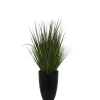 Arrangements & Greenery-Kirkland's Home Grass Arrangement In Black Cement Pot Green/Black