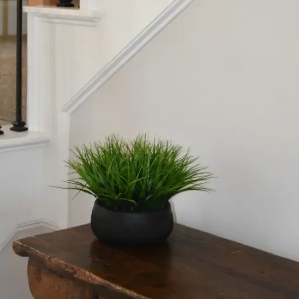 Arrangements & Greenery-Kirkland's Home Grass Arrangement In Black Ceramic Bowl Green/Black