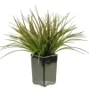 Arrangements & Greenery-Kirkland's Home Grass Arrangement In Black Ceramic Planter Green