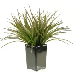 Arrangements & Greenery-Kirkland's Home Grass Arrangement In Black Ceramic Planter Green
