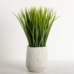 Arrangements & Greenery-Kirkland's Home Grass Arrangement In Cement Pot Green/Gray