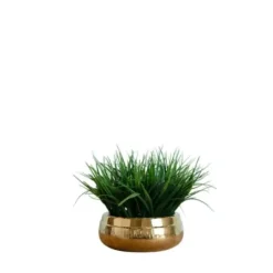 Arrangements & Greenery-Kirkland's Home Grass Arrangement In Gold Ceramic Bowl Green/Gold
