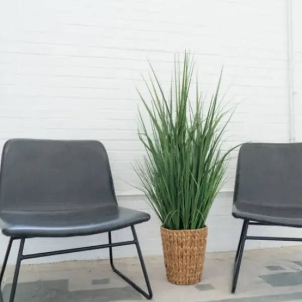 Arrangements & Greenery-Kirkland's Home Grass Arrangement In Natural Woven Basket Green