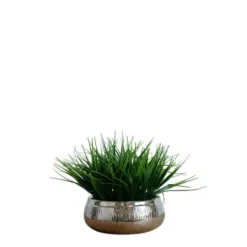 Arrangements & Greenery-Kirkland's Home Grass Arrangement In Silver Ceramic Bowl Green/Silver