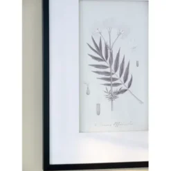 Framed Art-Kirkland's Home Gray And Cream Foliage 4-Pc. Framed Wall Art Set Gray/White