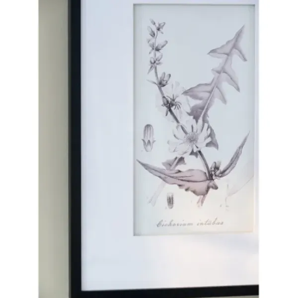 Framed Art-Kirkland's Home Gray And Cream Foliage 4-Pc. Framed Wall Art Set Gray/White