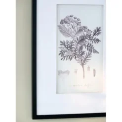Framed Art-Kirkland's Home Gray And Cream Foliage 4-Pc. Framed Wall Art Set Gray/White