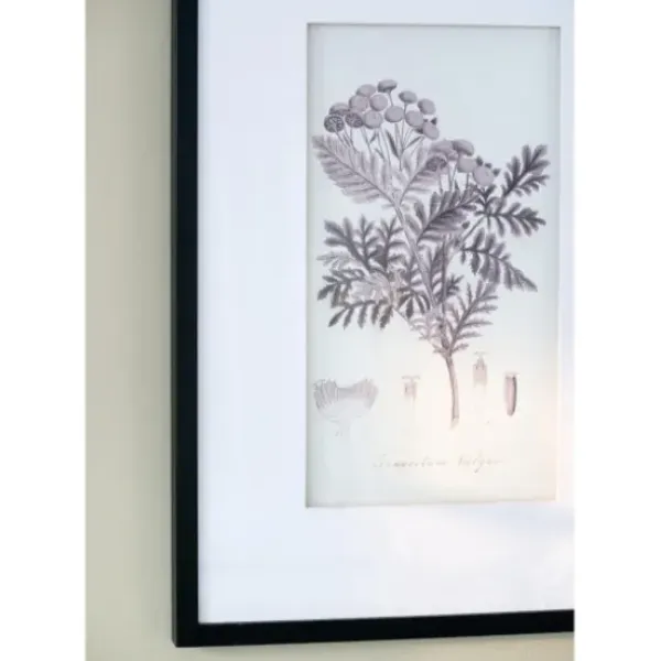 Framed Art-Kirkland's Home Gray And Cream Foliage 4-Pc. Framed Wall Art Set Gray/White