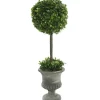 Trees & Topiaries-Kirkland's Home Gray Boxwood Pedestal Urn Topiary, 2 Ft.