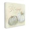 Wall Quotes & Signs-Kirkland's Home Gray Pumpkins Autumn Harvest Canvas Art Print Gray/Tan