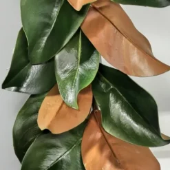 Arrangements & Greenery-Kirkland's Home Green And Orange Magnolia Leaf Garland Green/Orange