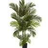 Trees & Topiaries-Kirkland's Home Green Areca Palm Tree In Black Planter, 66 In.