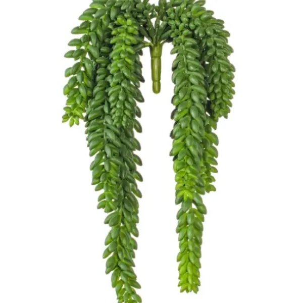 Stems & Bouquets-Kirkland's Home Green Donkey'S Tail Bush
