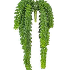 Stems & Bouquets-Kirkland's Home Green Donkey'S Tail Bush