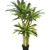 Trees & Topiaries-Kirkland's Home Green Dracaena Tree In Black Planter