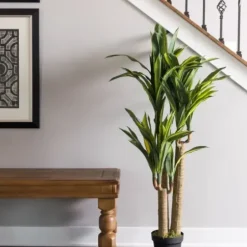 Trees & Topiaries-Kirkland's Home Green Dracaena Tree In Black Planter