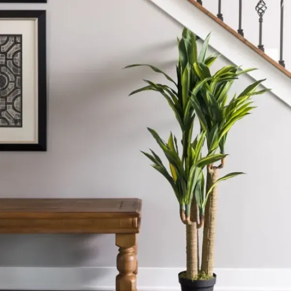 Trees & Topiaries-Kirkland's Home Green Dracaena Tree In Black Planter