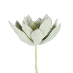 Stems & Bouquets-Kirkland's Home Green Echeveria Stems, Set Of 6 Green/White