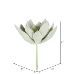 Stems & Bouquets-Kirkland's Home Green Echeveria Stems, Set Of 6 Green/White