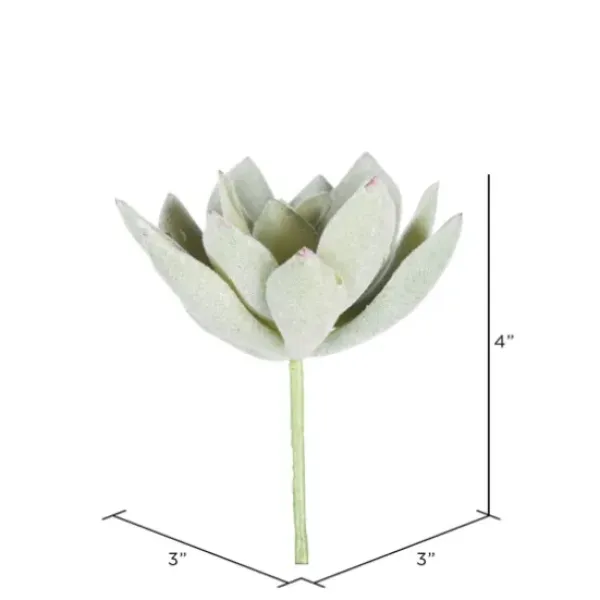 Stems & Bouquets-Kirkland's Home Green Echeveria Stems, Set Of 6 Green/White