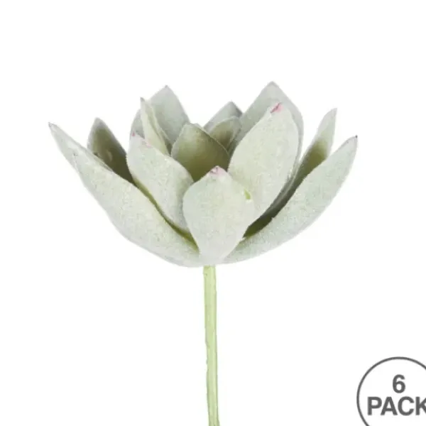 Stems & Bouquets-Kirkland's Home Green Echeveria Stems, Set Of 6 Green/White
