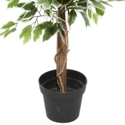 Trees & Topiaries-Kirkland's Home Green Ficus Potted Tree, 73 In.