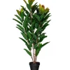Trees & Topiaries-Kirkland's Home Green Myrtle Tree In Black Planter