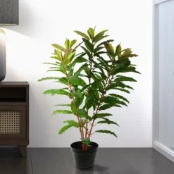 Trees & Topiaries-Kirkland's Home Green Myrtle Tree In Black Planter