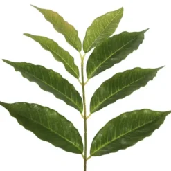 Trees & Topiaries-Kirkland's Home Green Nandina Potted Tree, 4 Ft.