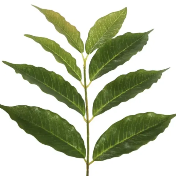 Trees & Topiaries-Kirkland's Home Green Nandina Potted Tree, 4 Ft.