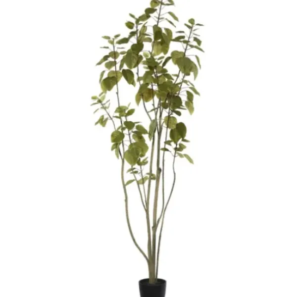 Trees & Topiaries-Kirkland's Home Green Potted Cotinus Coggygria Tree, 6 Ft.
