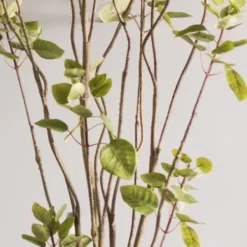 Trees & Topiaries-Kirkland's Home Green Potted Cotinus Coggygria Tree, 6 Ft.