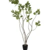 Trees & Topiaries-Kirkland's Home Green Potted Cotinus Coggygria Tree, 4 Ft.