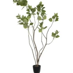 Trees & Topiaries-Kirkland's Home Green Potted Cotinus Coggygria Tree, 4 Ft.