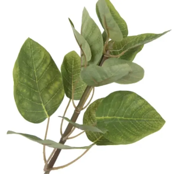Trees & Topiaries-Kirkland's Home Green Potted Cotinus Coggygria Tree, 4 Ft.