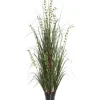 Trees & Topiaries-Kirkland's Home Green Potted Eucalyptus Grass, 24 In.