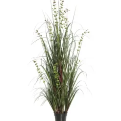 Trees & Topiaries-Kirkland's Home Green Potted Eucalyptus Grass, 24 In.