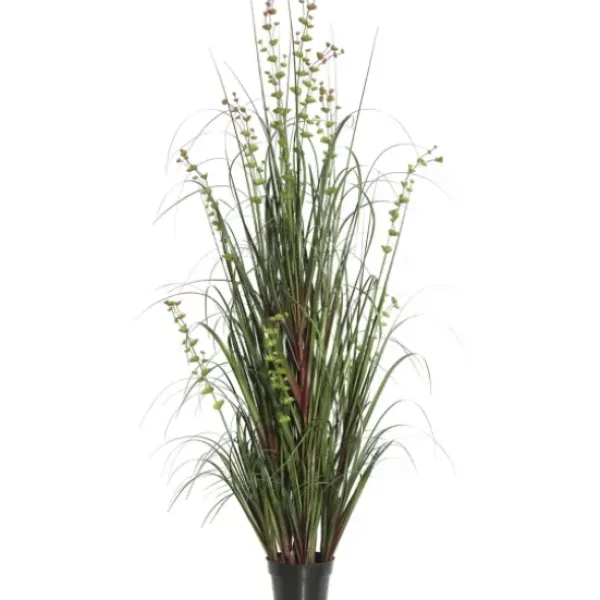 Trees & Topiaries-Kirkland's Home Green Potted Eucalyptus Grass, 24 In.