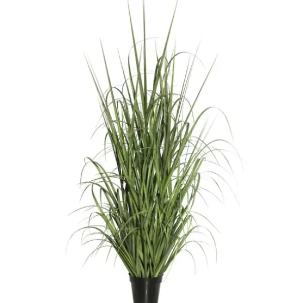 Trees & Topiaries-Kirkland's Home Green Ryegrass Potted Plant