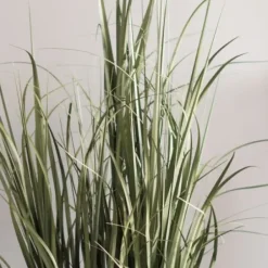 Trees & Topiaries-Kirkland's Home Green Ryegrass Potted Plant
