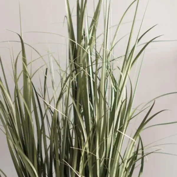 Trees & Topiaries-Kirkland's Home Green Ryegrass Potted Plant