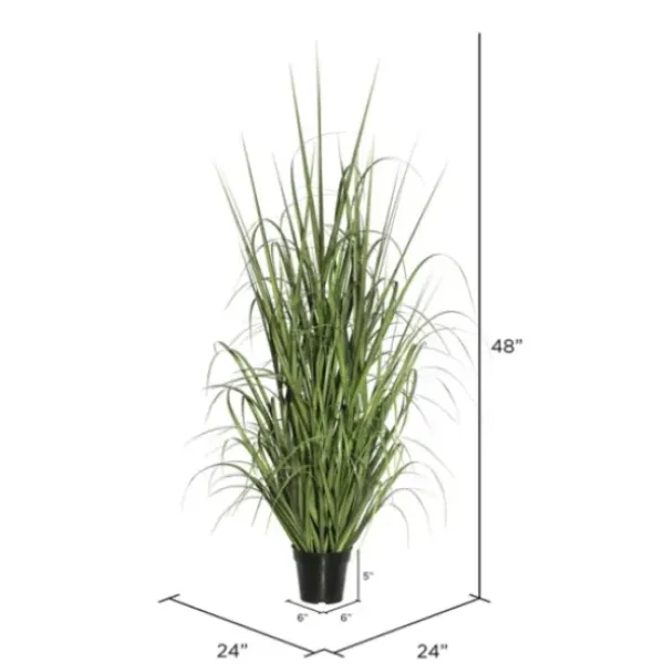 Trees & Topiaries-Kirkland's Home Green Ryegrass Potted Plant