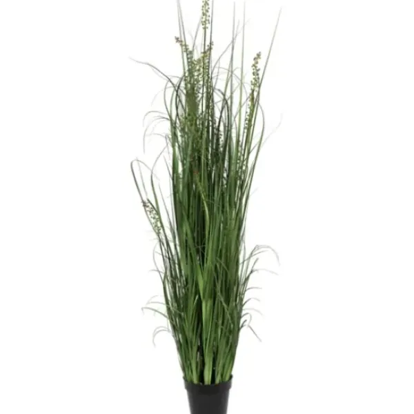 Trees & Topiaries-Kirkland's Home Green Sheep Grass Potted Plant
