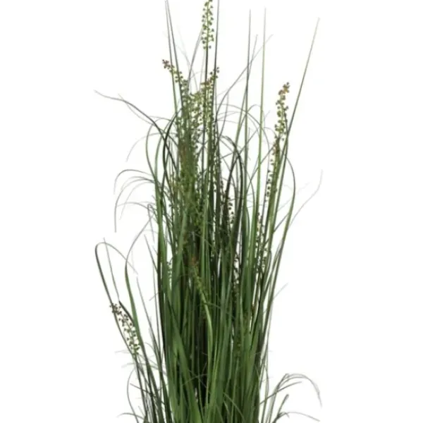 Trees & Topiaries-Kirkland's Home Green Sheep Grass Potted Plant