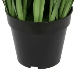 Trees & Topiaries-Kirkland's Home Green Sheep Grass Potted Plant
